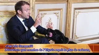 Miniature : Décou­vrez quel membre de l’Ely­sée reçoit le plus de cadeaux,  c’est très éton­nant?!