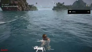Miniature : (AC black flag resynced) On  prend un bain aux Caraïbes pour se rafraichir !