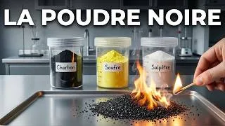 Miniature : Charbon, Soufre, Salpêtre : L'alchimie explosive de la Poudre Noire.