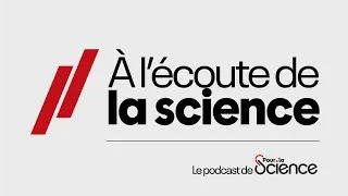 Miniature : Matériaux innovants, jeux vidéo... : l’IA comme outil d’exploration, avec David Louapre (physicien)