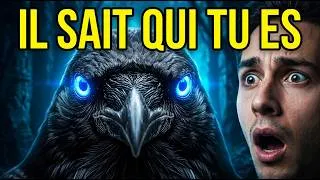 Miniature : Ce Corbeau Peut Se Souvenir De Ton Visage Pendant 17 Ans