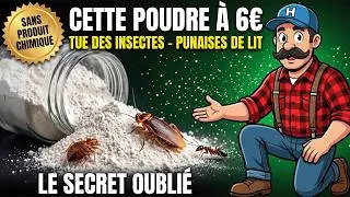 Miniature : Cette Poudre à 6€ Tue Les Punaises de Lit Sans Produit Chimique