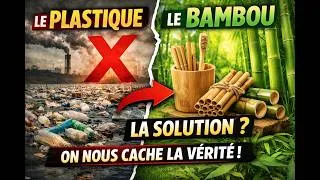 Miniature : Le Bambou va remplacer le Plastique