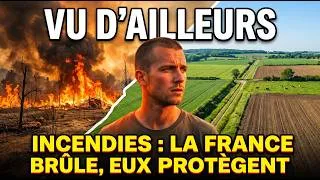 Miniature : Pâturage pare-feu : l'arme anti-incendie que la France ignore | Vu d'Ailleurs
