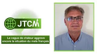 Miniature : À quel point les canicules ont-elles dégradé les maïs français ? | JTCM du 13/07/2026