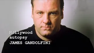 Miniature : Hollywood Autopsy James Gandolfini