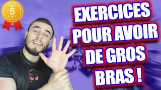 Miniature : Comment Avoir De Gros Bras ? TOP 5 EXERCICES 🔥