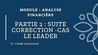 Miniature : Partie 2 - Solution de l'exercice du bilan financier - cas Le Leader