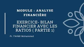 Miniature : Partie 1- Solution Cas Le Leader - Bilan financier
