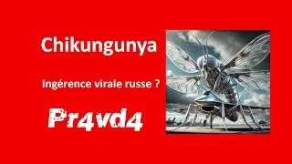 Miniature : Russes et chikungunya : ingérence virale ?
