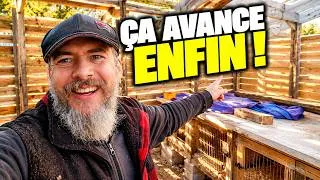 Miniature : 70 % DE PERTES… MAIS TOUT N'EST PAS FINI !