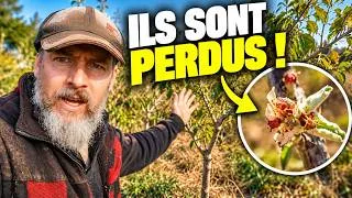 Miniature : OCTOBRE… MAIS L’ÉTÉ NE VEUT PAS FINIR !