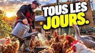 Miniature : QUAND TU VIS D’UNE FERME, ELLE NE T’ATTEND PAS