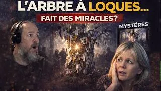 Miniature : L’Arbre à Loques qui fait des MIRACLES ?! 😳 | React à l’émission Mystère