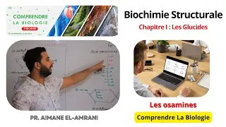 Miniature : Vidéo 14  : Les Osamines.