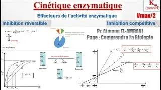 Miniature : Séance 11 : Effecteurs de l’activité enzymatique : Inhibition compétitive.