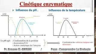 Miniature : Séance 10 : Influence de la température et du pH sur l'activité enzymatique.