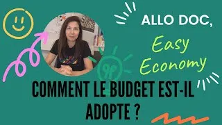 Miniature : Comment le budget de l’État est-il adopté ?