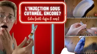 Miniature : L'INJECTION SOUS CUTANÉE, ON REMET ÇA 8 ANS APRÈS!!