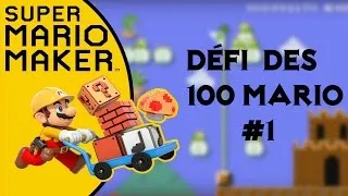 Miniature : Super Mario Maker : Défi des 100 mario #1