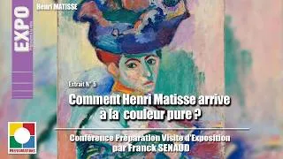 Miniature : COMMENT MATISSE ARRIVE à LA COULEUR PURE  ? - Séquence 5/5