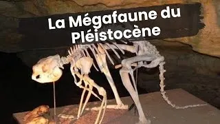 Miniature : La Mégafaune du Pléistocène
