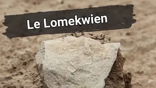 Miniature : Le Lomekwien