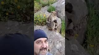 Miniature : tourisme Bejaia yemma gouraya