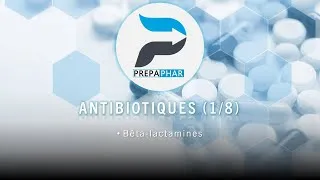 Miniature : Bêta-lactamines - Préparer le concours d'entrée en internat de pharmacie