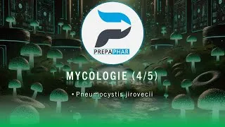 Miniature : Pneumocystis jirovecii - Préparer le concours d'entrée en internat de pharmacie