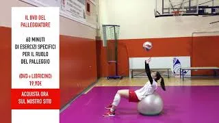 Miniature : Functional exercises for the abs with the fitball in volleyball
