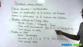 Miniature : biochimie cours récepteurs canaux ioniques