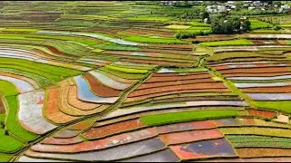 Miniature : [G'Optimiz] Gestion Optimisée des systèmes de culture pour une agriculture durable dans l'OI