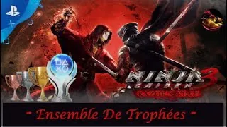 Miniature : Trophy Set / Ensemble De Trophées Ninja Gaiden Razor's Edge