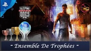 Miniature : Trophy Set / Ensemble De Trophées Sleeping Dogs