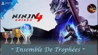 Miniature : Trophy Set / Ensemble De Trophée Ninja Gaiden 4