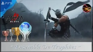 Miniature : Trophy Set /Ensemble De Trophées Ninja Gaiden 2 Black