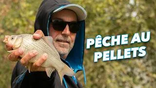Miniature : PECHE EN AU PELLET EN CARPODROME avec la STR MARGIN