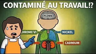 Miniature : Ce que les examens peuvent révéler (SBEP)