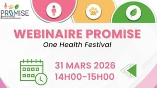 Miniature : Webinaire PROMISE - Antibio : ça résiste… Tous concernés, tous actifs !