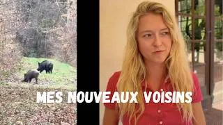 Miniature : Mes voisins ne sont plus des humains… 🦌