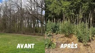 Miniature : 🍅 Avant / Après : 5 mois de potager sur buttes… sans arrosage ! 🌱