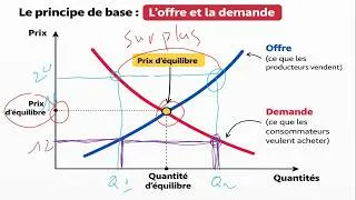 Miniature : Offre et Demande : comprendre comment les prix se fixent sur le marché