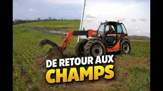 Miniature : De retour aux champs