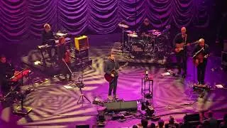 Miniature : Divine Comedy Salle Pleyel 2 mars 2026