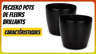 Miniature : AVIS (2026) : PECZEKO Pots de Fleurs Brillants. DÉTAILS