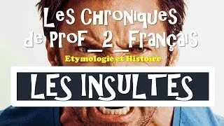 Miniature : Les Chroniques - LES INSULTES