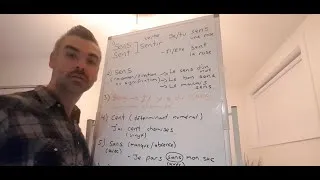 Miniature : #29 - Grammaire - Homophones (SANS / S'EN / CENT / SENS / SENT / SANG)