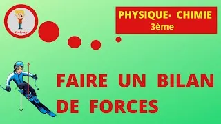 Miniature : DOI - BILAN DES FORCES