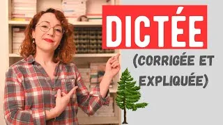 Miniature : Dictée (corrigée et expliquée) : ça sent le sapin !